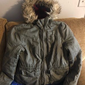 Hollister Winter Jacket